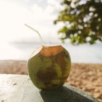 coconut facts